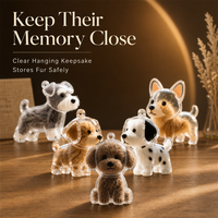 Nouveau Porte-clés Souvenir Commémoratif Transparent Mignon en Forme de Capsule Écologique pour Stocker les Poils d'Animaux (Chiens et Chats)