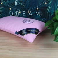 Taie d'oreiller d'aluminium Premium Double doublure, coussin en microfibre Polyester de 1000G 48x74cm avec sac à main