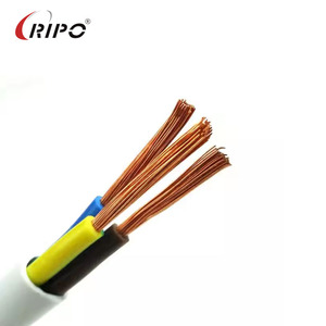 Câble d'alimentation en cuivre RVV à 2 cœurs de qualité industrielle Ripo 1.0mm gaine en PVC flexible 450/750V ignifuge pour machines - Product Image 2