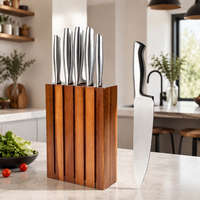 Ensemble de 5 couteaux de cuisine professionnels, couteaux de chef japonais, lame en acier inoxydable de 8 pouces avec bloc