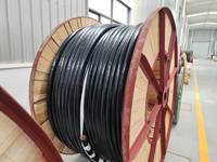 Yjv32 0,6/1kv 4x16-185mm2 Konstruktion Standard-Stromkabel Cu XLPE SWA PVC 60502 4x35 4x70 4x95 4x120 4x150 4x185 4x150 4x185