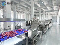 Commerciële apparatuur voor het wassen en reinigen van fruit en groenten, geschikt voor fruit- en groenteverwerkingsbedrijven