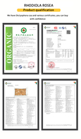 Vente en gros de rhodiola rosea, herbes séchées, racine de rhodiola rosea Hong Jing Tian