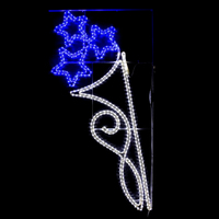 Luces Decorativas de Navidad para Exteriores de Alta Calidad, IP65, LED 2D, Motivo de Estrella para Poste de Calle