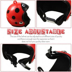 Precio de Fábrica: Cascos Protectores Creativos para Aves, Sombreros de Seguridad para Gallinas, Accesorios para Pollos, Loros y Periquitos - Product Image 4