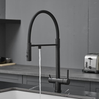 Robinet d'évier de cuisine à osmose inverse avec tube en silicone, 2 poignées, filtre purificateur d'eau 3 en 1, robinet d'eau potable en laiton