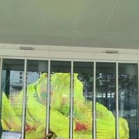Film transparent auto-adhésif souple Écran d'affichage LED Écran en verre cristal 3D Mur vidéo LED Panneau