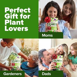 Haute germination sans OGM intérieur héritage culinaire herbe <span class=keywords><strong>basilic</strong></span> pour hydroponique extérieur jardin Durable Pots de fleurs jardinières pour - Product Image 6