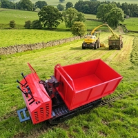 Mini-dumper sur chenilles auto-chargeur de 800 kg à chargement direct d'usine avec benne rotative pour projets agricoles