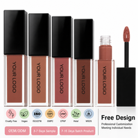 Rouge à Lèvres Liquide Mat Formule Personnalisée Marque Privée OEM ODM Usine de Maquillage Professionnelle Fournisseur de Beauté en Gros Conception de Marque
