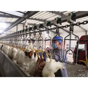 Peralatan pemotongan senar proses pemotongan Abattoir unggas ayam otomatis untuk rumah pemotongan