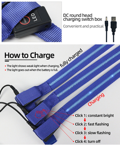 Material <span class=keywords><strong>de</strong></span> correas personalizado, <span class=keywords><strong>cola</strong></span> <span class=keywords><strong>de</strong></span> <span class=keywords><strong>caballo</strong></span> con luz recargable con tira <span class=keywords><strong>de</strong></span> luz, <span class=keywords><strong>cola</strong></span> <span class=keywords><strong>de</strong></span> <span class=keywords><strong>caballo</strong></span> LED intermitente brillante <span class=keywords><strong>de</strong></span> noche - Product Image 5