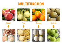 Automatische sinaasappelschilmachine Elektrische fruit- en sinaasappelschilmachine voor cantaloupe, kiwi's, avocado's, appels en citroenen