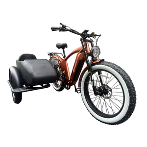 Triciclo Elettrico per Adulti con Sidecar Bici <span class=keywords><strong>a</strong></span> <span class=keywords><strong>3</strong></span> <span class=keywords><strong>Ruote</strong></span> Ebike da Carico 750w con Batteria al Litio Nascosta Etrike Sidecar - Product Image 1