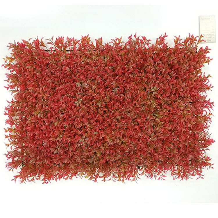 Herbe porte-bonheur rouge