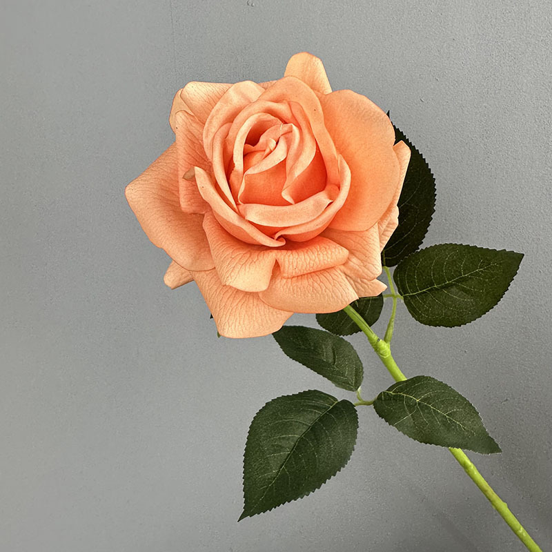 Rosa idratante a stelo singolo rosa pesca