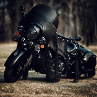 Kit de carénage en cuir noir fait main avec franges pour moto, ensemble pare-brise et sacoches personnalisés pour motos Indian Harley Cruiser