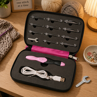 Kit de 11 crochets à LED rechargeables par USB avec poignée réglable et étui zippé
