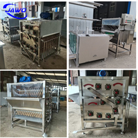 Échaudeuse à poulet électrique, machine à échauder et à plumer la volaille, machine d'abattage de poulet