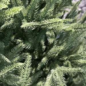 Factory Wholesales Cast 3D 100% PE <b>Christmas</b> <b>Tree</b> Pine Shape Prelit for Home Decorations - Product Image 4