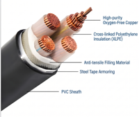 Cable de Alimentación de Bajo Voltaje N2XY XLPE PVC |   Cable para Edificios de Estaciones de Energía Industrial de 0.6/1 KV |   Cable de Cobre YJV