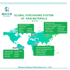 Approvisionnement d'usine CTM <span class=keywords><strong>Bai</strong></span> Shu Atractylodes Macrocephala Rhizome Extrait Poudre De Qualité Alimentaire Certifié GMP 1kg avec Le Meilleur <span class=keywords><strong>Prix</strong></span> - Product Image 5