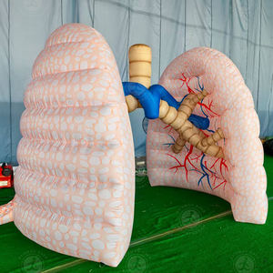 Modelo anatómico <span class=keywords><strong>de</strong></span> pulmón inflable al aire libre, globo publicitario <span class=keywords><strong>de</strong></span> Educación Médica para modelo publicitario inflable al aire libre - Product Image 4