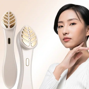 Appareil d'introduction cutanée, Instrument de rajeunissement par luminothérapie, Appareil domestique à micro-courant EMS et compresse chaude - Product Image 2