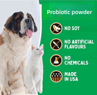 Poudre Probiotique Prix Usine pour Chiens et Chats – Soutien Immunitaire, Allergies Saisonnières, Enzymes Digestives, Inuline d'Acacia, Vitamines