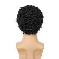Perruque Afro Synthétique Réglable et Moelleuse pour Hommes et Femmes, Idéale pour Cosplay, Anime, Fêtes d'Halloween, Perruques Fantaisie Amusantes, Transparente, Petite Taille 150%
