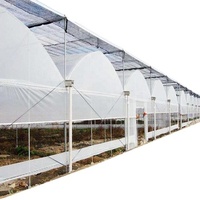 FM Profesional Produsen Film Pertanian Invernadero Multi-Span Tomat Rumah Kaca Rumah Hijau