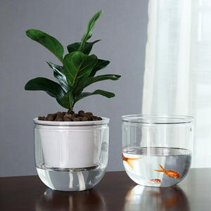 P441 <span class=keywords><strong>Pot</strong></span> de fleurs suspendu moderne et simple à fond rond transparent, pour culture hydroponique et en terre, auto-arrosant, pour personne paresseuse - Product Image 6