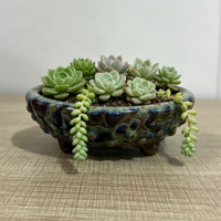 Pot à succulentes en poterie, pots à fleurs en terre cuite, pots à bonsaï en argile violette Yixing, céramique émaillée écologique, style traditionnel pour la maison