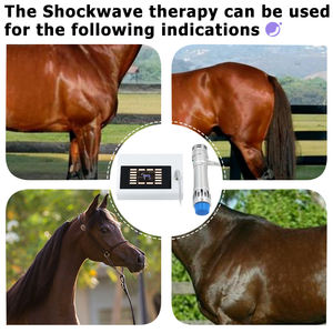 Tragbares Stoßwellentherapie-Gerät 300MJ Körpers chmerz linderung Muskel <span class=keywords><strong>massage</strong></span> Entspannung Profession elles <span class=keywords><strong>Massage</strong></span> gerät - Product Image 5