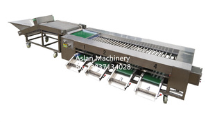 Walnut <span class=keywords><strong>Orange</strong></span> phân loại SORTER máy/citrus <span class=keywords><strong>Orange</strong></span> Lemon chấm điểm máy/Con lăn thép không gỉ loại khoai tây Kích thước học sinh lớp - Product Image 4