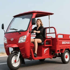 Buon prezzo carico elettrico tre ruote trasporto frutteto a lunga distanza - Product Image 5