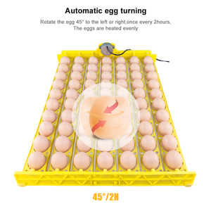 Fournisseurs chinois incubateurs œufs <span class=keywords><strong>à</strong></span> <span class=keywords><strong>couver</strong></span> couveuse automatique d'œufs de poule incubateur de volaille plateau de 70 œufs - Product Image 4