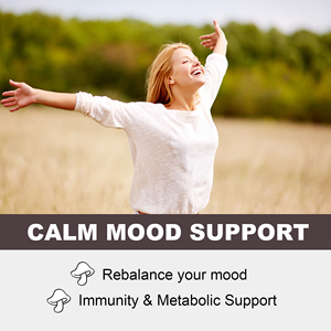 High Quality 10-IN-1 <b>Blend</b> Blueberry Flavor Mushroom Gummies Support Calm Mood & Relaxation Immune Support - Product Image 4