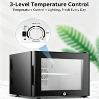 Mini-réfrigérateur thermoélectrique silencieux 20L avec porte vitrée, éclairage LED et affichage compact – Idéal pour hôtels, maisons et refroidissement de boissons