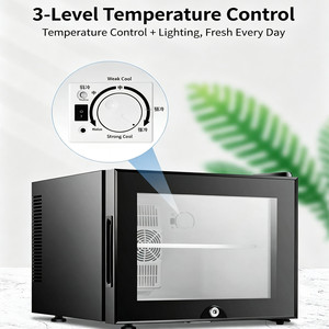 Mini Frigo Termoelettrico Silenzioso da 20L con Porta in Vetro, Luce LED e Display Compatto, Piccolo Refrigeratore per Hotel, Casa e Raffreddamento Bevande - Product Image 5