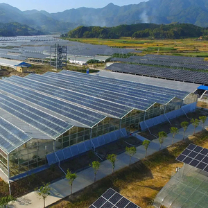 Serre solaire photovoltaïque Serre <span class=keywords><strong>agricole</strong></span> à travée unique Panneau solaire photovoltaïque feuille pc Serre - Product Image 1