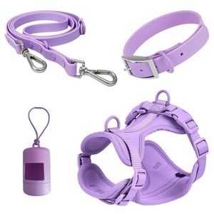Ensemble laisse et harnais pour chien, style gilet, réglable, violet, équipement de promenade pour petit chien - Product Image 1