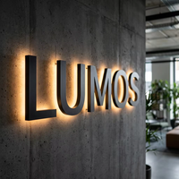 Letras de Canal 3D LED Personalizadas con Iluminación Frontal, Impermeables, para Exteriores, Señalización para Centros Comerciales, Tiendas Minoristas, Pantallas Publicitarias