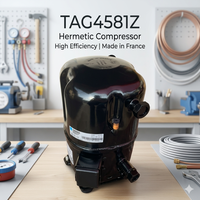 Kompresor TAG4581Z 6.8HP R404A 400V 3 Fasa Hermetik Resiprokal untuk Pendinginan Komersial