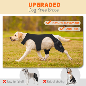 Ingrosso per cani ACL ginocchiera regolabile doppia gamba tutore per <span class=keywords><strong>la</strong></span> gamba posteriore aiuta con ACL strappati lesioni al legamento della <span class=keywords><strong>rotula</strong></span> - Product Image 4