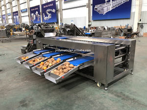 آلة تصنيف الكلور الكهربائية للفواكه والجزر والعاطفة والكيوي آلة تصنيف الكلور الكهربائية للفواكه والخضروات خط معالجة الفراولة - Product Image 3