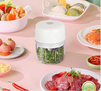 Mini hachoir alimentaire électrique USB, presse-ail, hachoir à ail électrique, acier inoxydable, portable, usage domestique, capacité de 2,1 à 3 L
