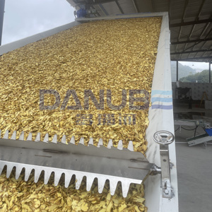 Best Selling Mesh Belt Ginger Drying Machine Ginger Dryer Machine Dried Ginger Processing Equipment - Product Image 5