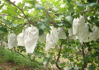 Fruitbeschermende siliconen gecoate enkelzijdig bedrukte speciaal papier waterdichte aangepaste logo houtpulp landbouw 100 stuks