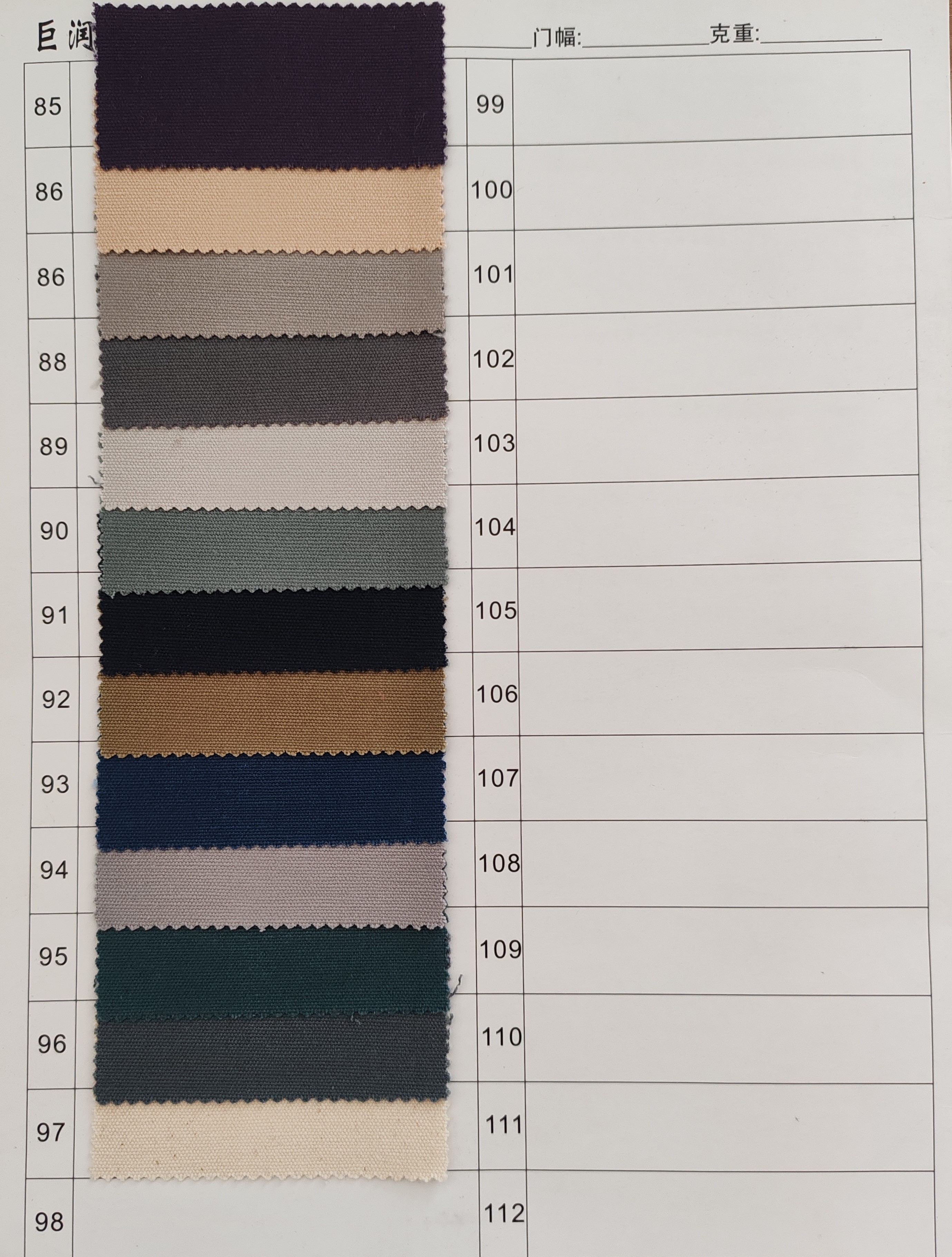 Color Choice 4